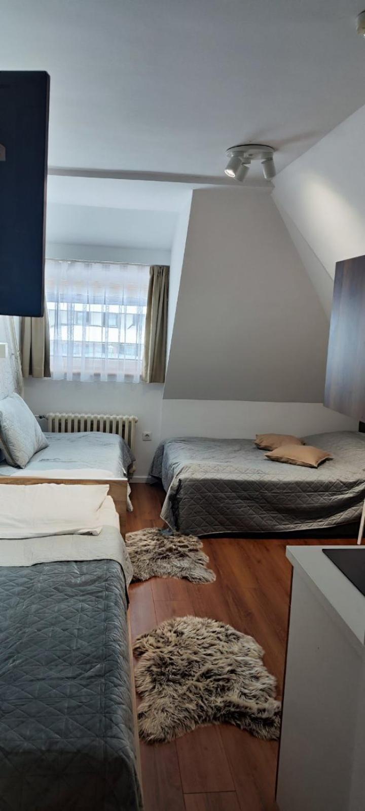 Snow White Apartments Копаоник Экстерьер фото